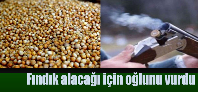 Fındık alacağı için oğlunu vurdu