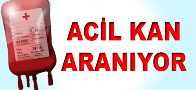 Acil Kan Aranıyor