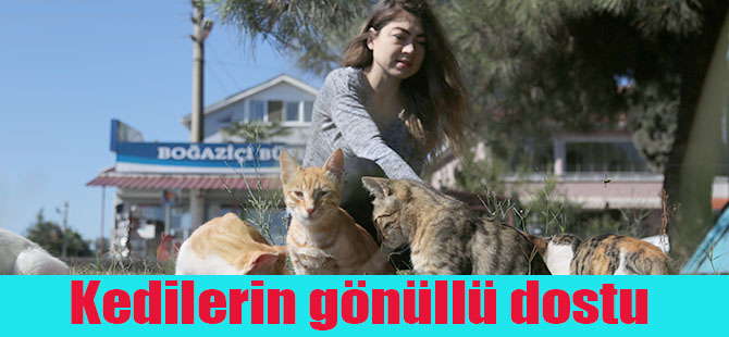 Kedilerin gönüllü dostu