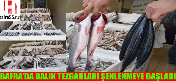 Bafra'da Balık Tezgahları Şenlenmeye Başladı