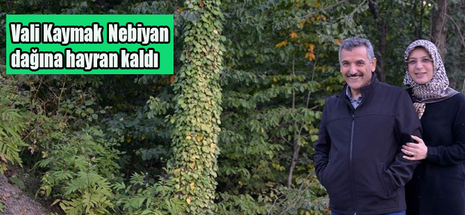 Vali Kaymak Nebiyan dağına hayran kaldı