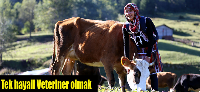 Tek hayali Veteriner olmak