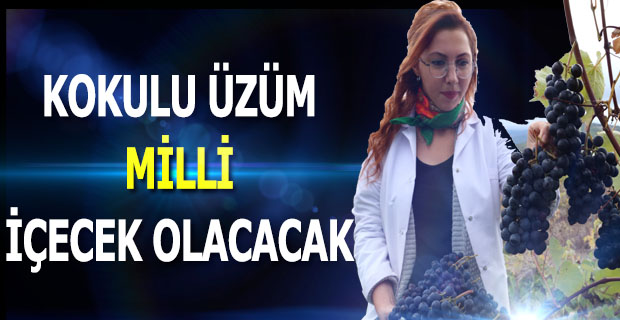 Kokulu Üzüm Milli İçecek Olacak