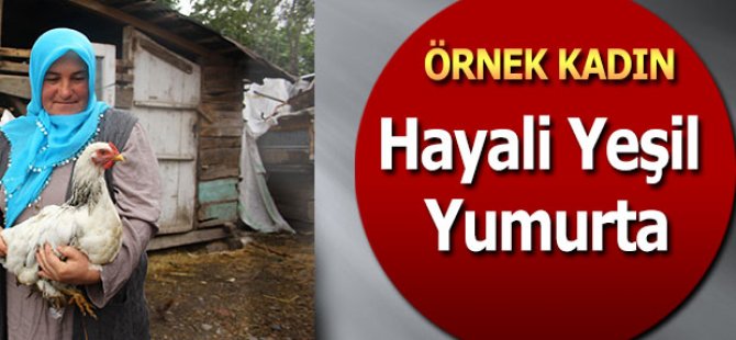 Örnek Kadının hayali Yeşil Yumurta