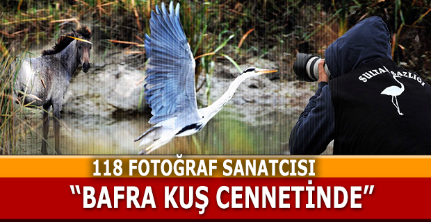 Bafra Kuş Cennetinde 118 Fotoğrafcı