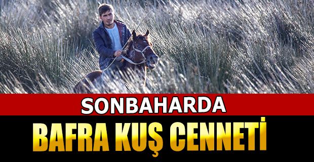 Bafra Kuş Cennetinde Sonbahar