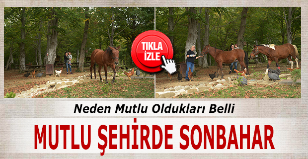 Neden Mutlu Oldukları Belli