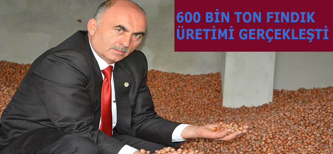 600 BİN TON FINDIK ÜRETİMİ GERÇEKLEŞTİ