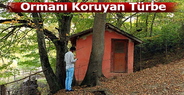 Ormanı Koruyan Türbe