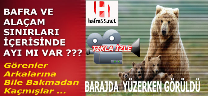 Bafra ve Alaçam'da Ayı Mı Var ???