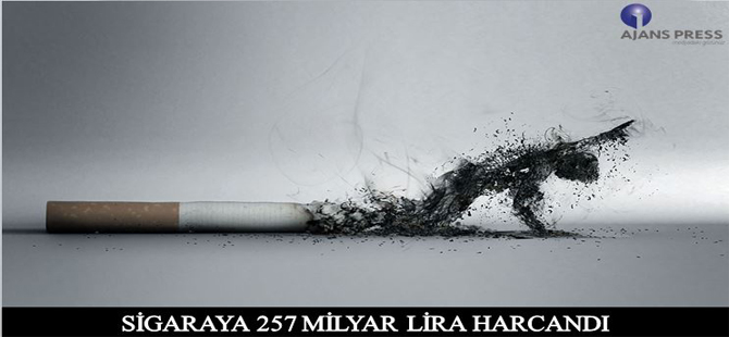 SİGARAYA 257 MİLYAR LİRA HARCANDI