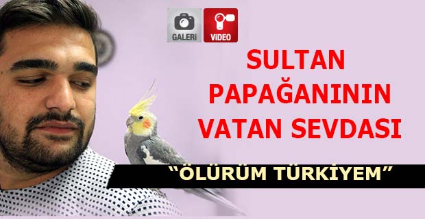 Sultan Papağanının Türkiye Sevdası
