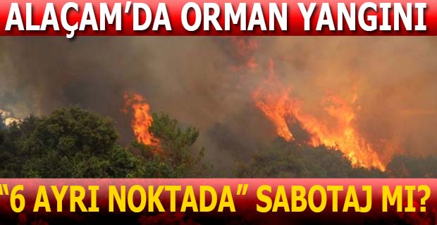 ALAÇAM’DA ORMAN YANGINI  SABOTAJ MI?