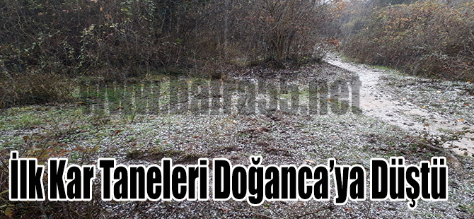 İlk Kar Taneleri Doğanca'ya Düştü