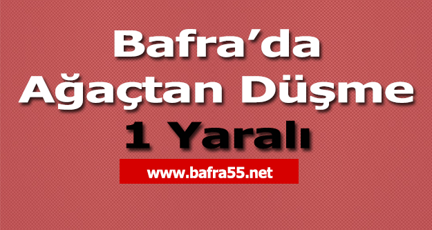 Bafra’da Ağaçtan Düşme