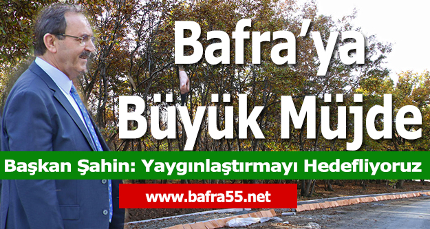 Bafra’ya Orman Müjdesi