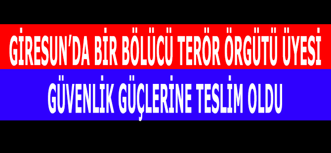 Bölücü Terör Örgüt Üyesi Teslim Oldu