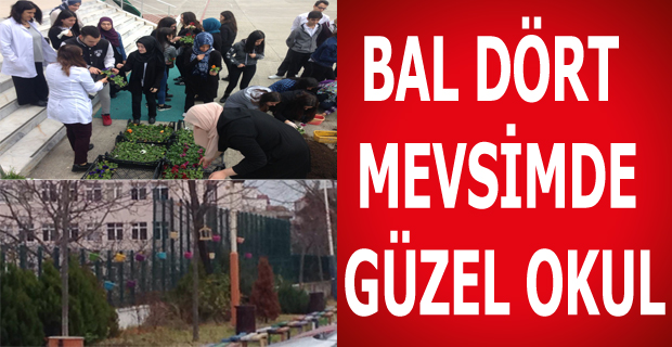 BAL DÖRT MEVSİMDE GÜZEL OKUL