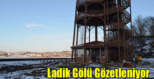 Ladik Gölü Gözetleniyor