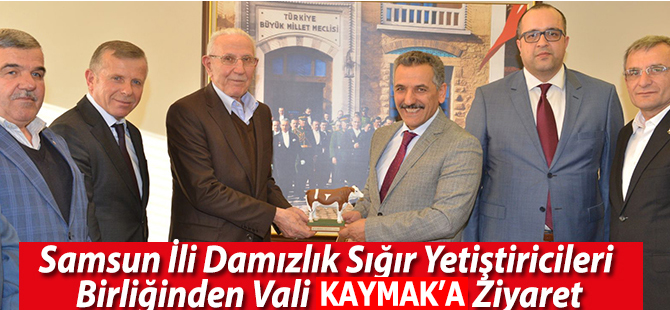 Samsun İli Damızlık Sığır Yetiştiricileri  Birliğinden Vali Kaymak’a Ziyaret