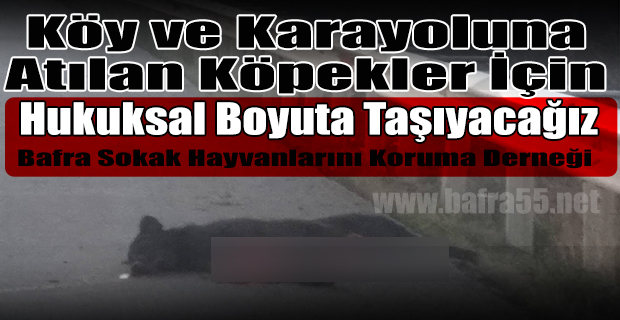 Hayvanseverlerden Basın Açıklaması