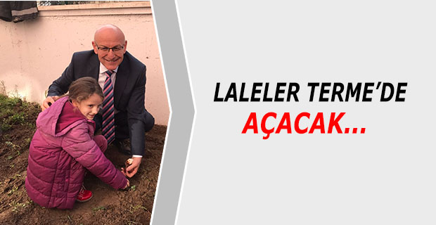 Laleler Terme'de Açacak