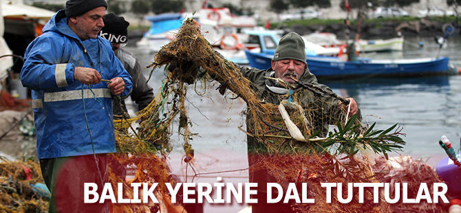 BALIK YERİNE DAL TUTTULAR