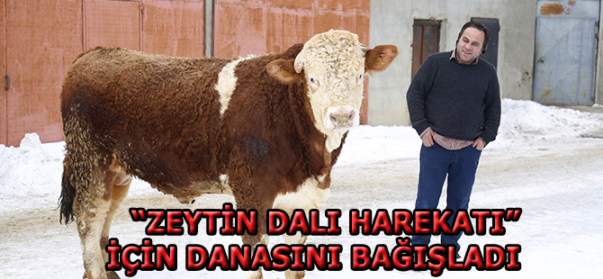 Zeytin Dalı Harekatı İçin Danasını Bağışladı