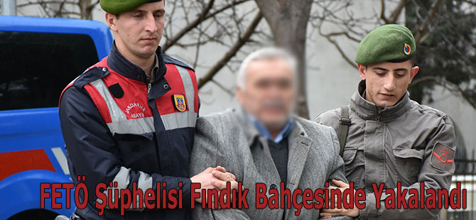 FETÖ Şüphelisi Fındık Bahçesinde Yakalandı