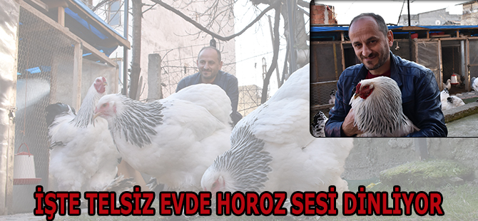 İş yerinde "Telsiz"Evde "Horoz Sesi" Dinliyor