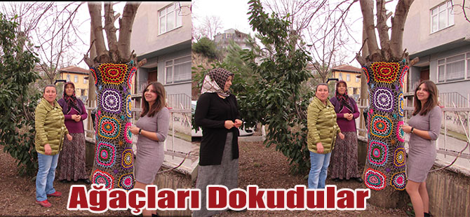 Ağaçları Dokudular