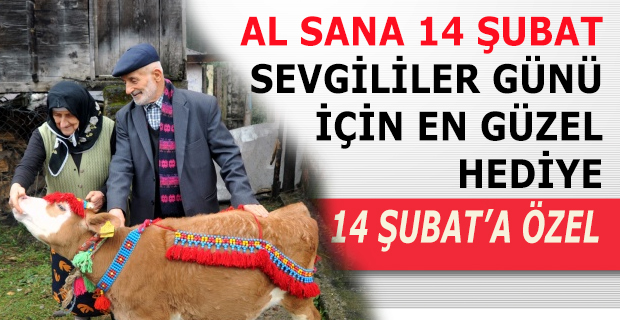 AL SANA 14 ŞUBAT