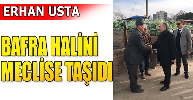 ERHAN USTA BAFRA HALİNİN SORUNLARINI MECLİSE TAŞIDI