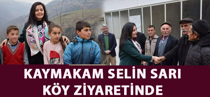 KAYMAKAM SELİN SARI KÖY ZİYARETİNDE