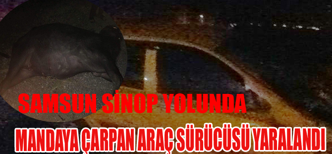 ALAÇAM YOLUNDA MANDAYA ÇARPAN ARAÇ SÜRÜCÜSÜ YARALANDI