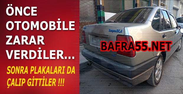 Bafra'da Önce Çarptılar Sonra Plakayı Çaldılar