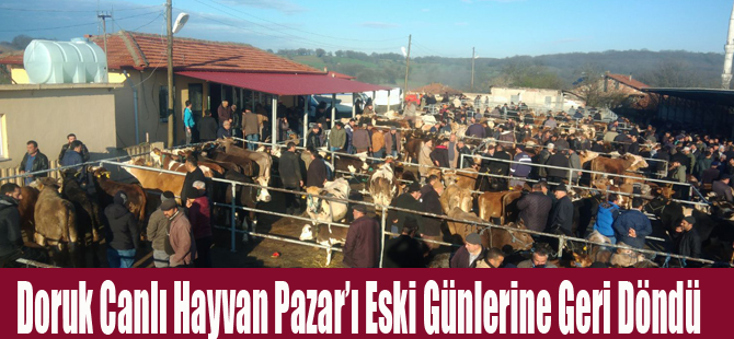 Doruk Canlı Hayvan Pazar’ı Eski Günlerine Geri Döndü