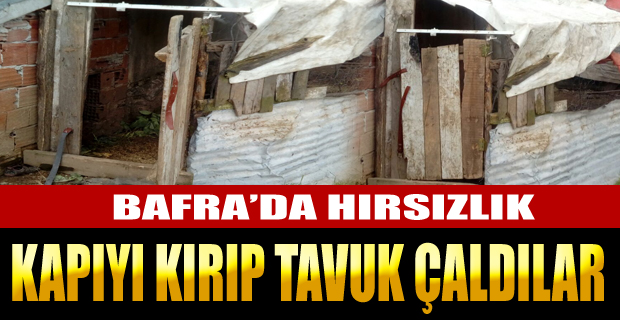 Kapıyı Kırıp Tavuk Çaldılar