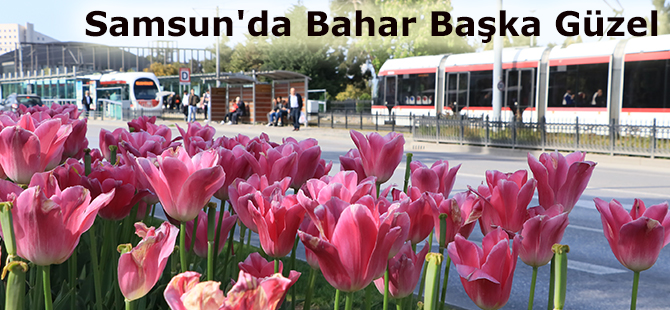 Samsun'da Bahar Başka Güzel
