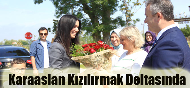 Karaaslan Kızılırmak Deltasında