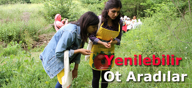 Yenilebilir Ot Aradılar