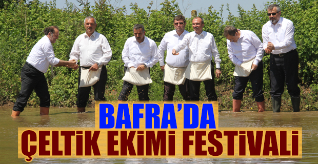 Bafra’da Çeltik Ekimi Festivali