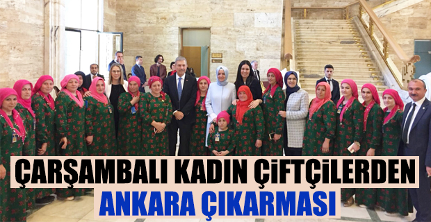 ÇARŞAMBALI KADIN ÇİFTÇİLERDEN ANKARA ÇIKARMASI