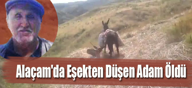 Alaçam'da Eşekten Düşen Adam Öldü