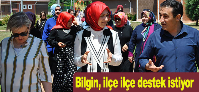 Bilgin, ilçe ilçe destek istiyor