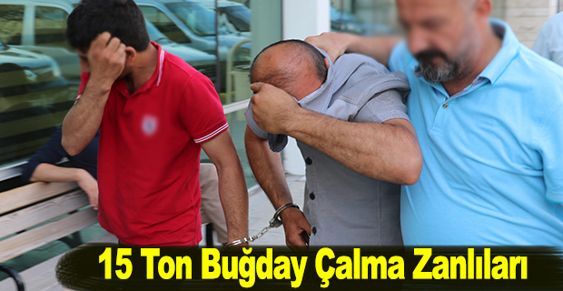 15 Ton Buğday Çalma Zanlıları