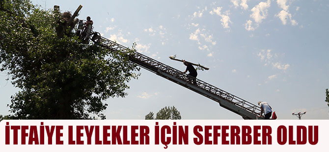 İTFAİYE LEYLEKLER İÇİN SEFERBER OLDU