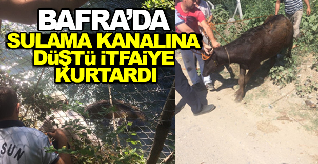 Bafra'da Sulama Kanalına Düştü İtfaiye Kurtardı