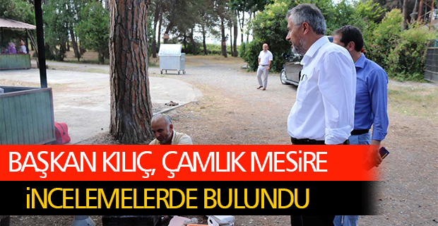 Başkan Kılıç Çamlık Mesire Alanında İncelemelerde Bulundu