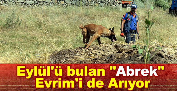 Eylül'ü bulan "Abrek" Evrim'i de arıyor